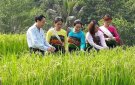 Trải nghiệm du lịch cộng đồng tại Quan Hóa